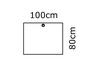 100x80