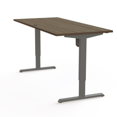 Mesa Electrica Elevable