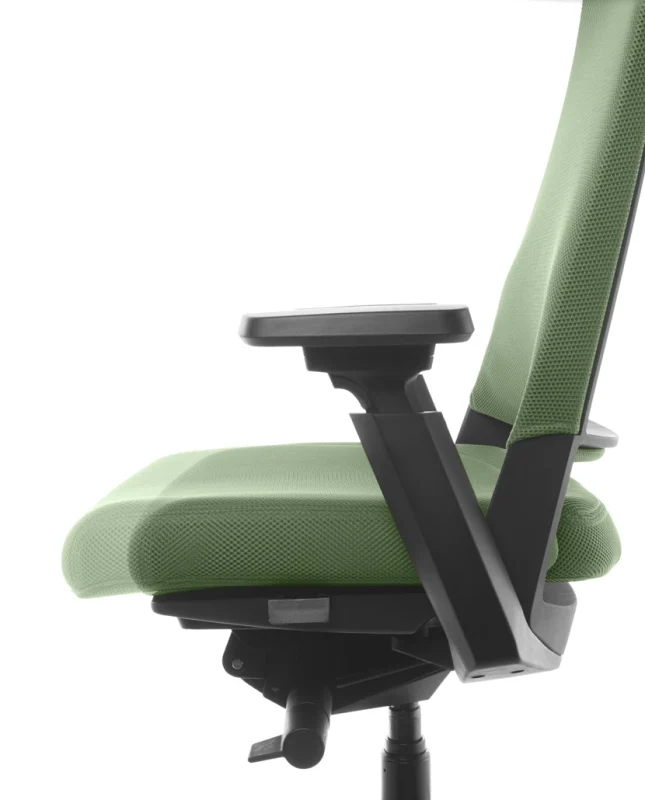 F5 KINEO TRASLA