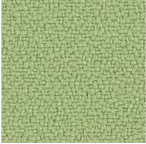 Camira Apple
