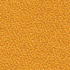 Camira Solano